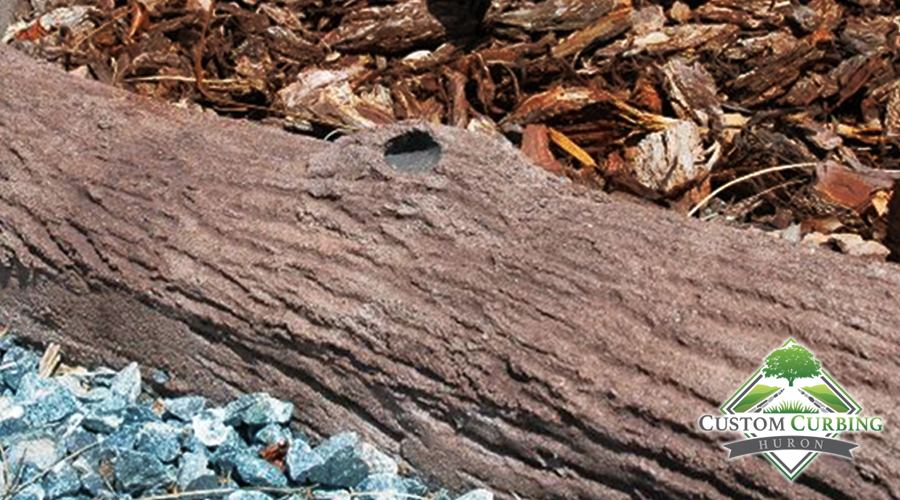Bark Texture