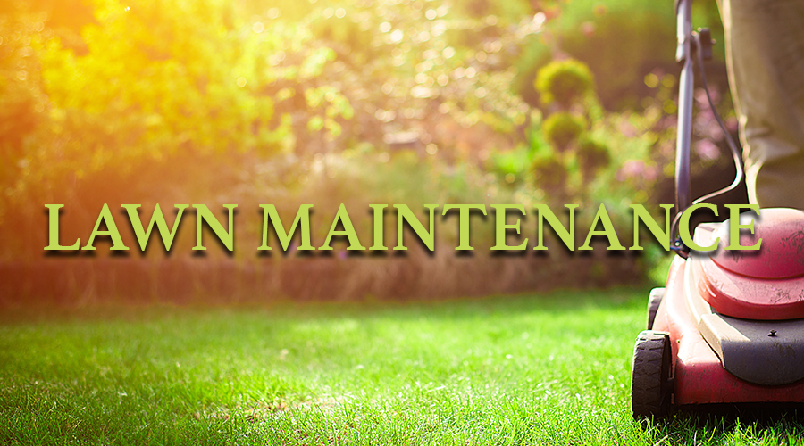 services-lawn-maintenance Services - Lawn Maintenance