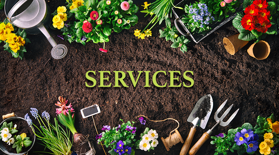 services-services-title Services - Services Title